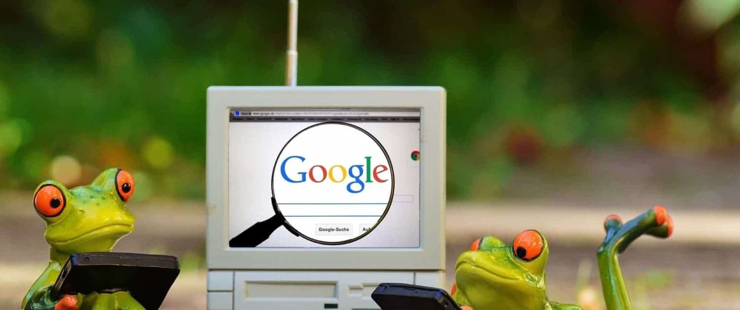 Zwei Frösche vorm PC die googlen